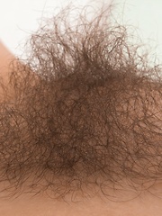 We Are Hairy